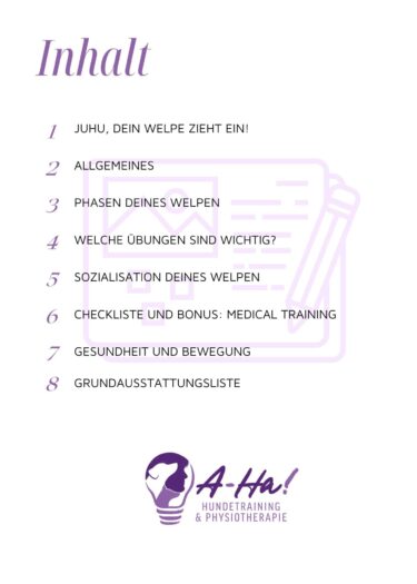 Welpen Workbook Inhaltsverzeichnis