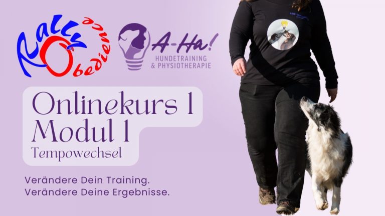 Rally Obedience Online Kurs 1 Modul 1 Thumbnail