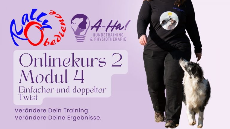 Rally Obedience Online Kurs 2 Modul 4 Thumbnail