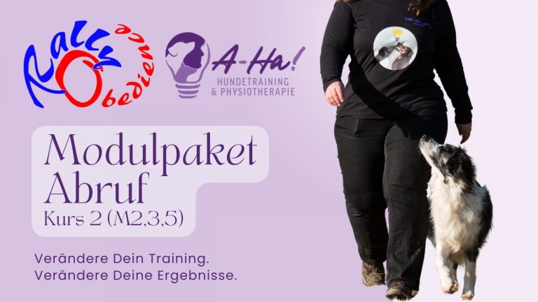 Rally Obedience Online Kurs Abruf Thumbnail