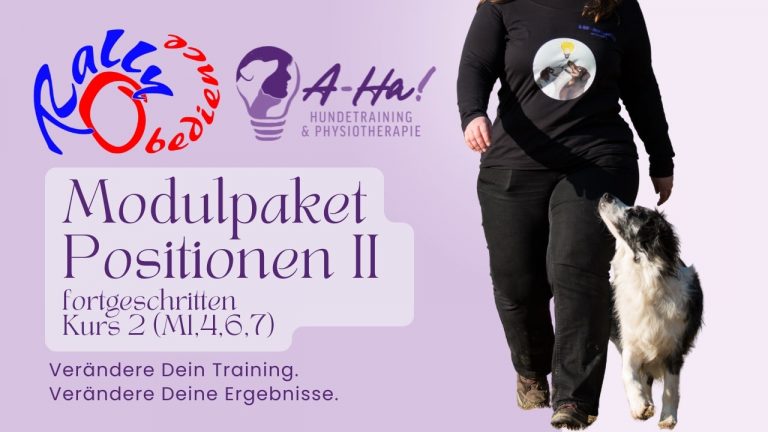 Rally Obedience Online Kurs 1 Positionen (fortgeschritten)Thumbnail