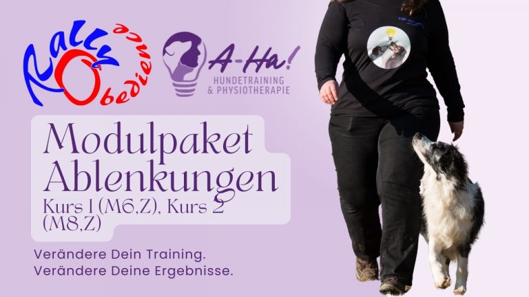 Rally Obedience Online Modulpaket Ablenkungen Thumbnail