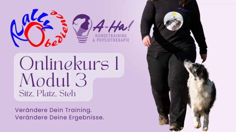Rally Obedience Online Kurs 1 Modul 3 Thumbnail