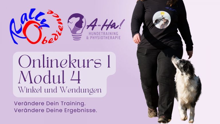 Rally Obedience Online Kurs 1 Modul 4 Thumbnail