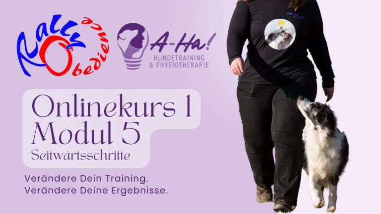 Rally Obedience Online Kurs 1 Modul 5 Thumbnail
