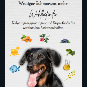 Nahrungsergänzungsmittel und Superfoods z.B. bei Arthrose