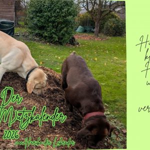 TierschMutzkalender 2026